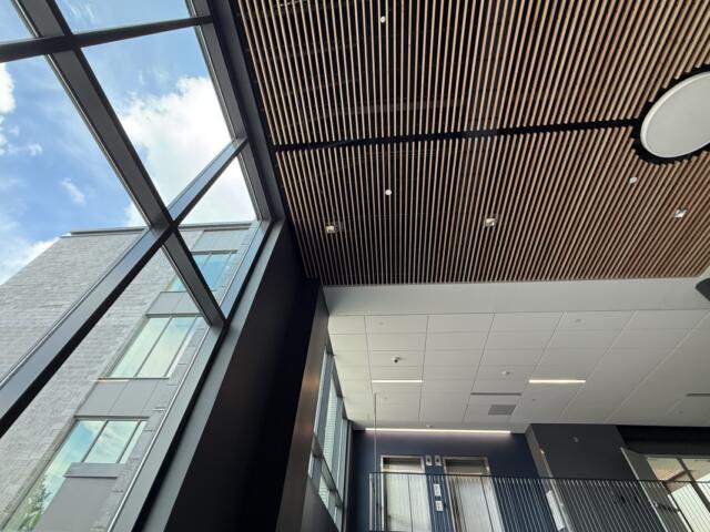 Cville Middle commons area window and ceiling