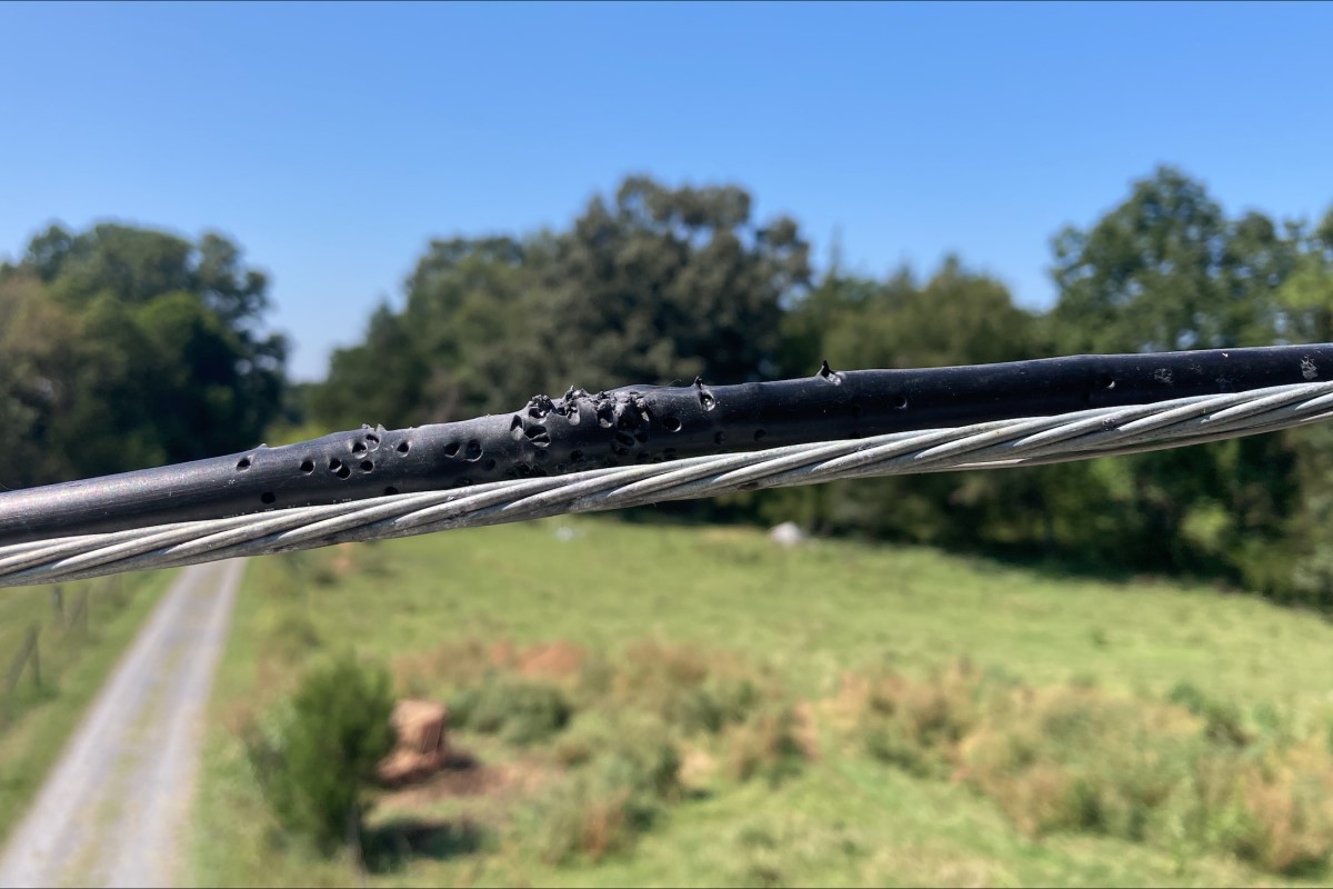 bird shot damage to Firefly fiber