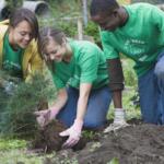 Teens planting tree