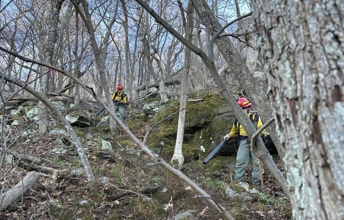 Bear Den Mtn firefighter