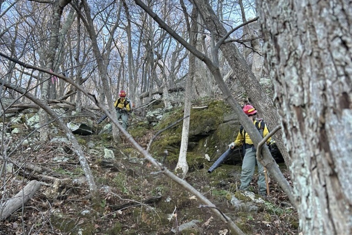 Bear Den Mtn firefighter