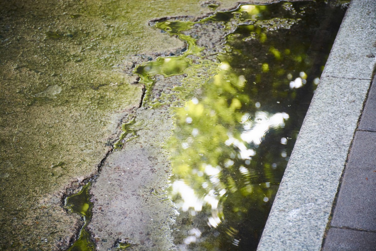 water at curb