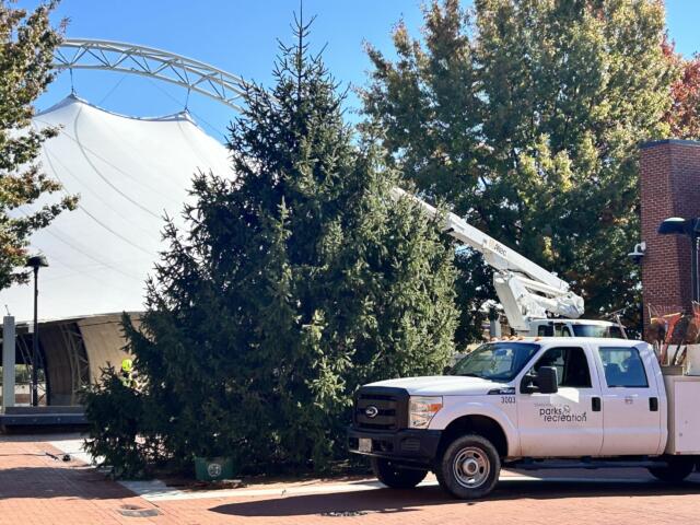 Crews set up the Christmas tree on the downtown mall