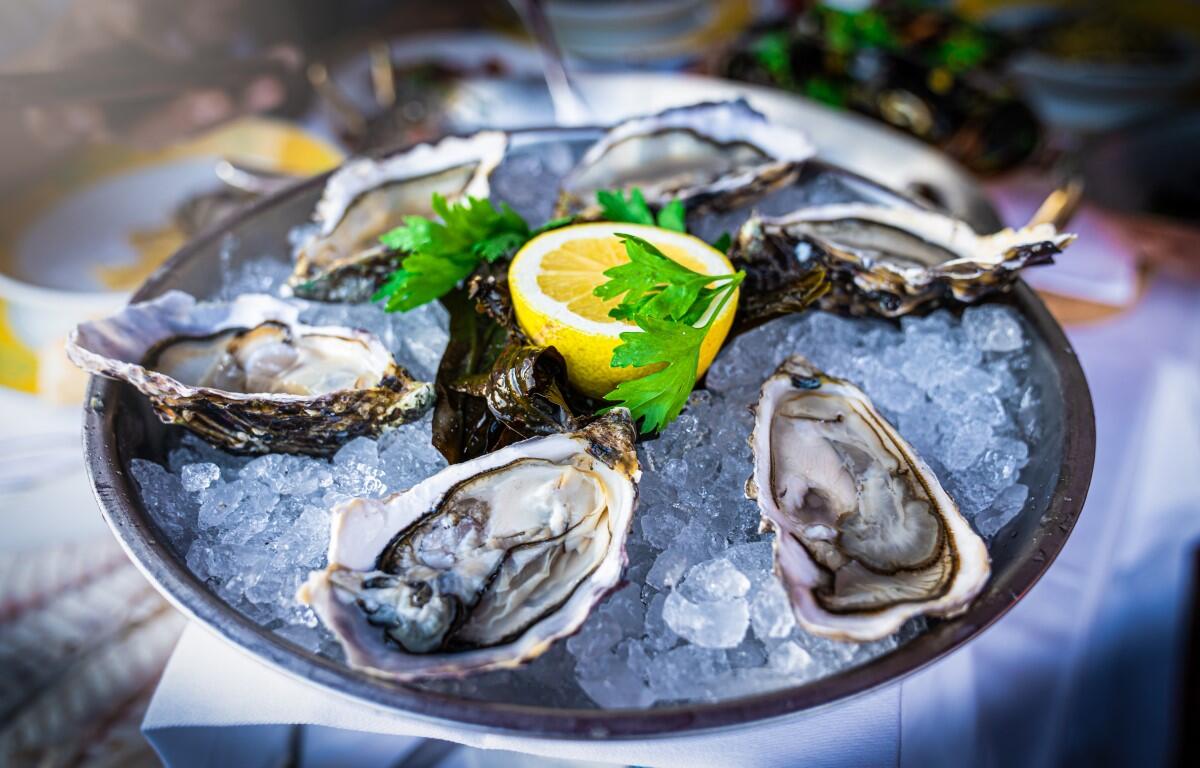 raw oysters