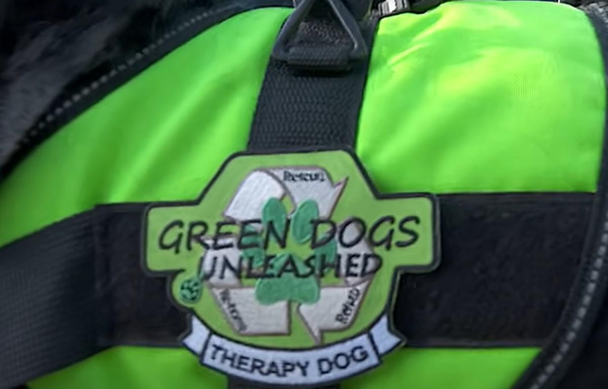 Green Dogs Unleashed patch