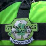 Green Dogs Unleashed patch