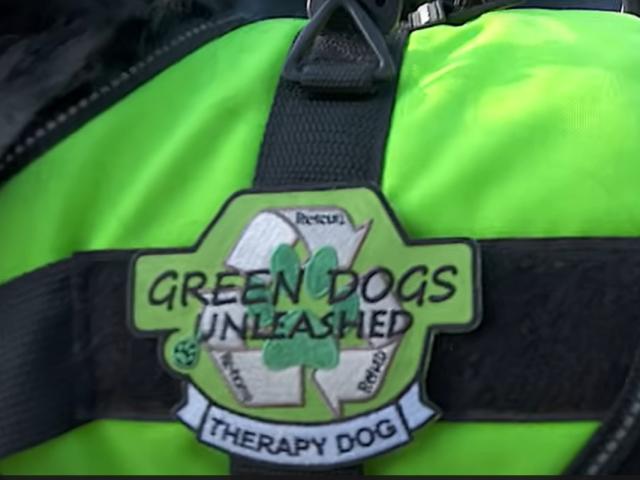 Green Dogs Unleashed patch