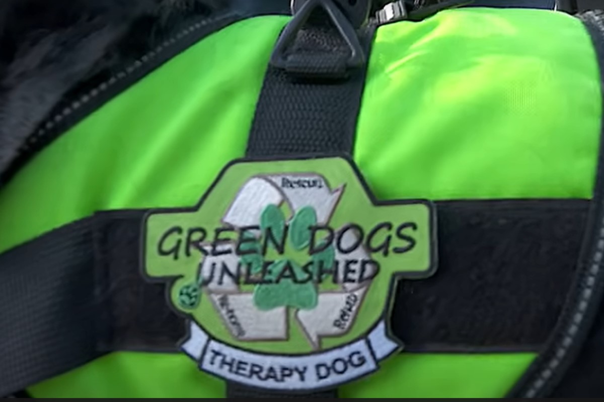 Green Dogs Unleashed patch