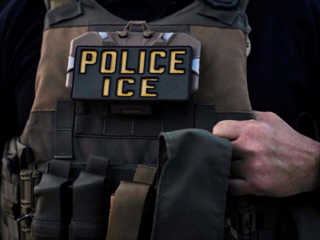 Close-up of a tactical vest with multiple pouches and a badge that reads POLICE ICE.
