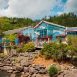Ripley's Aquarium exterior with glass facade and red/blue accents along a rocky shoreline and boardwalk.