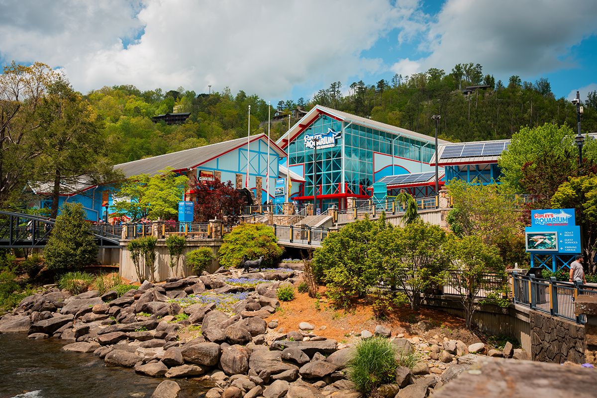 Ripley's Aquarium exterior with glass facade and red/blue accents along a rocky shoreline and boardwalk.