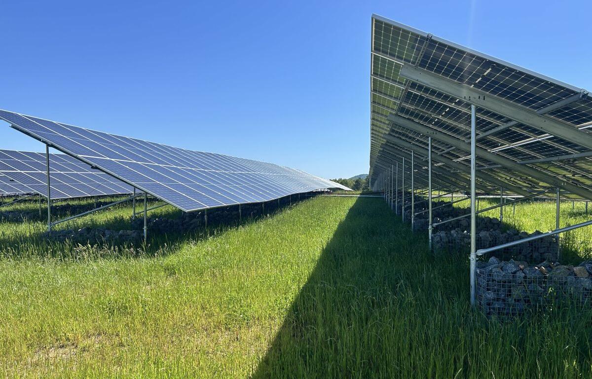 Solar Panels at Ivy Landfill
