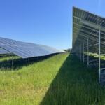 Solar Panels at Ivy Landfill