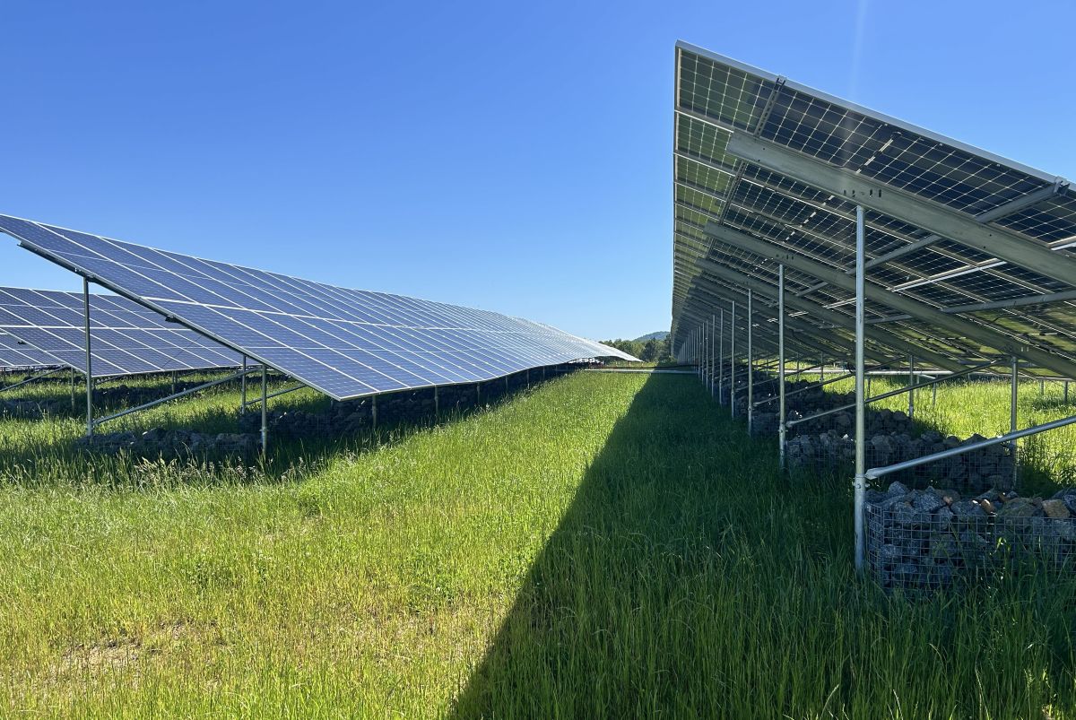 Solar Panels at Ivy Landfill