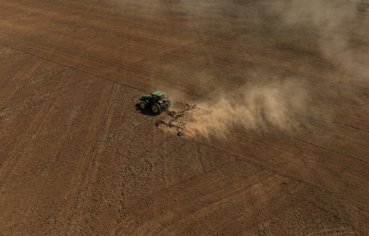 Dry field