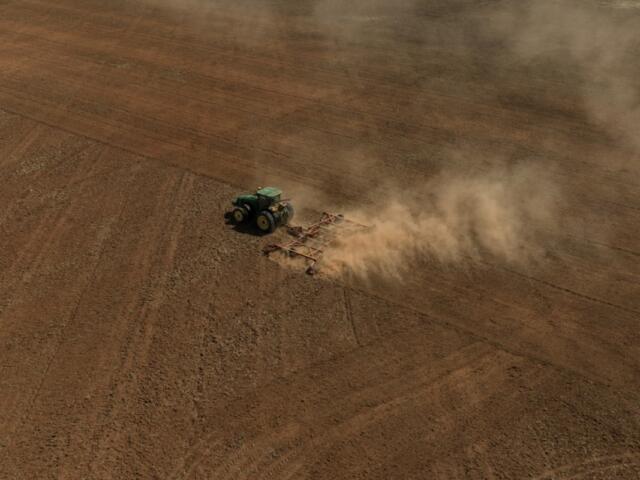 Dry field