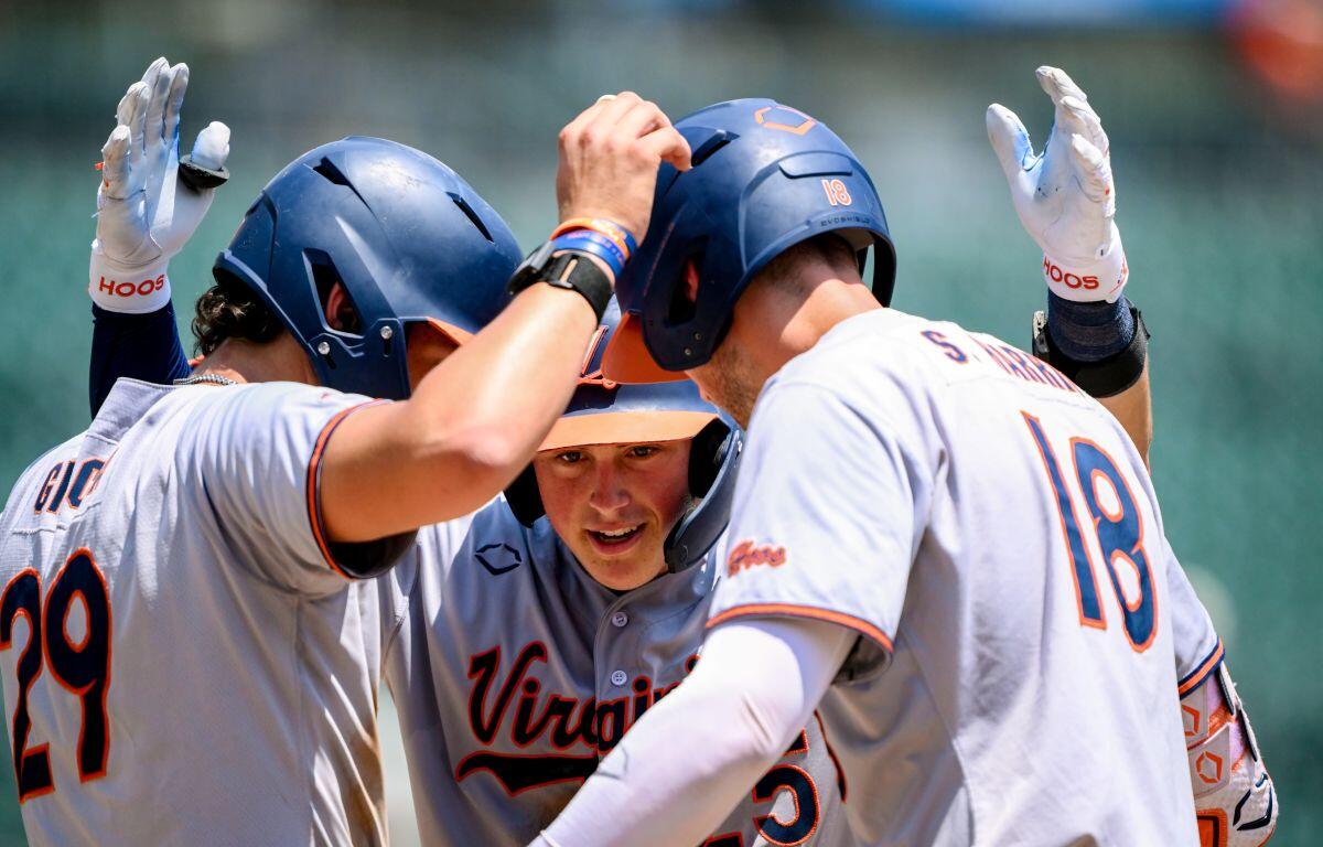 Virginia Cavaliers baseball players in white uniforms celebrate in a huddle on the field, high-fiving each other around a central player.