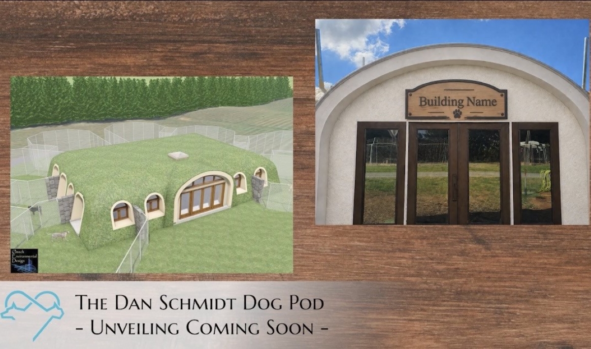Concept render of a grass-roof dog pod with arched entrances beside a curved building entrance labeled 'Building Name'.