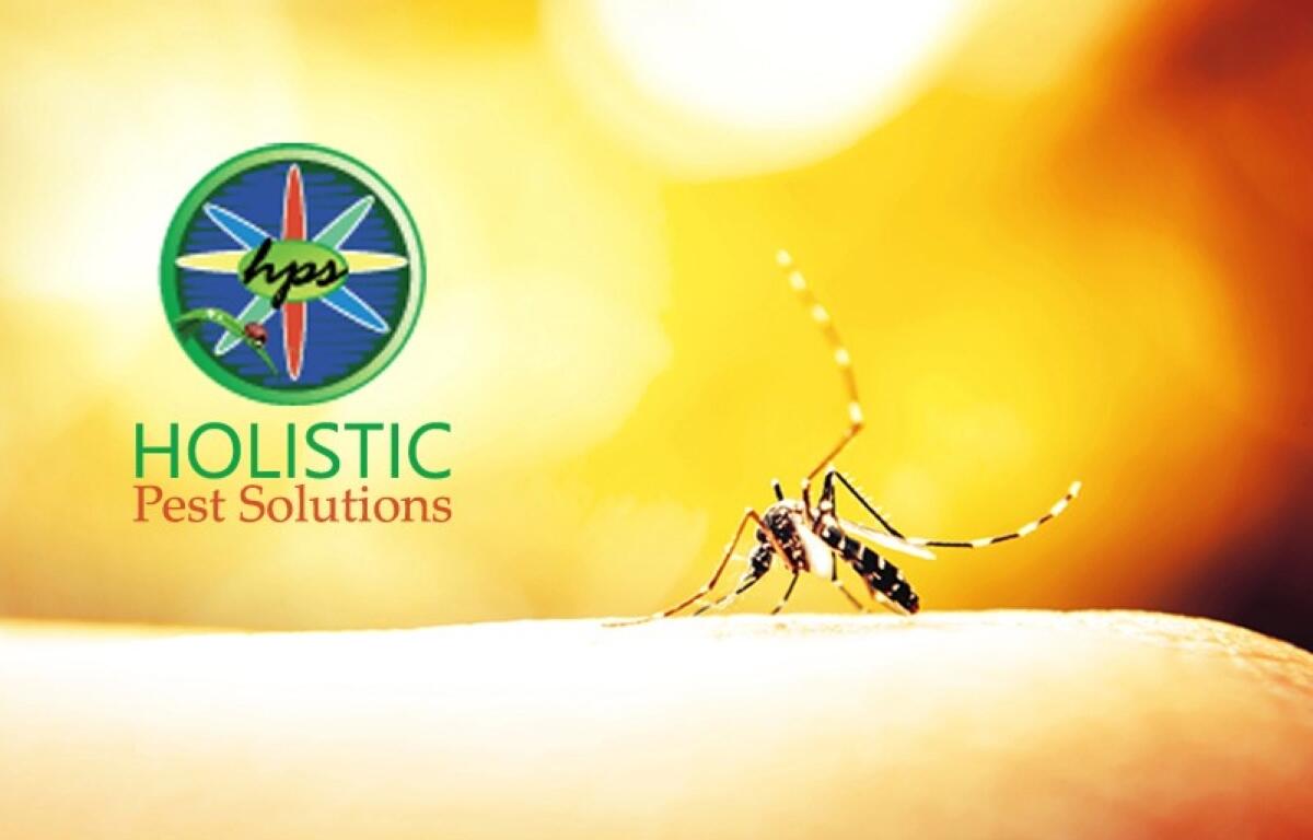 Holistic Pest Solutions logo with a circular emblem and a mosquito on a warm yellow background.