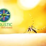 Holistic Pest Solutions logo with a circular emblem and a mosquito on a warm yellow background.