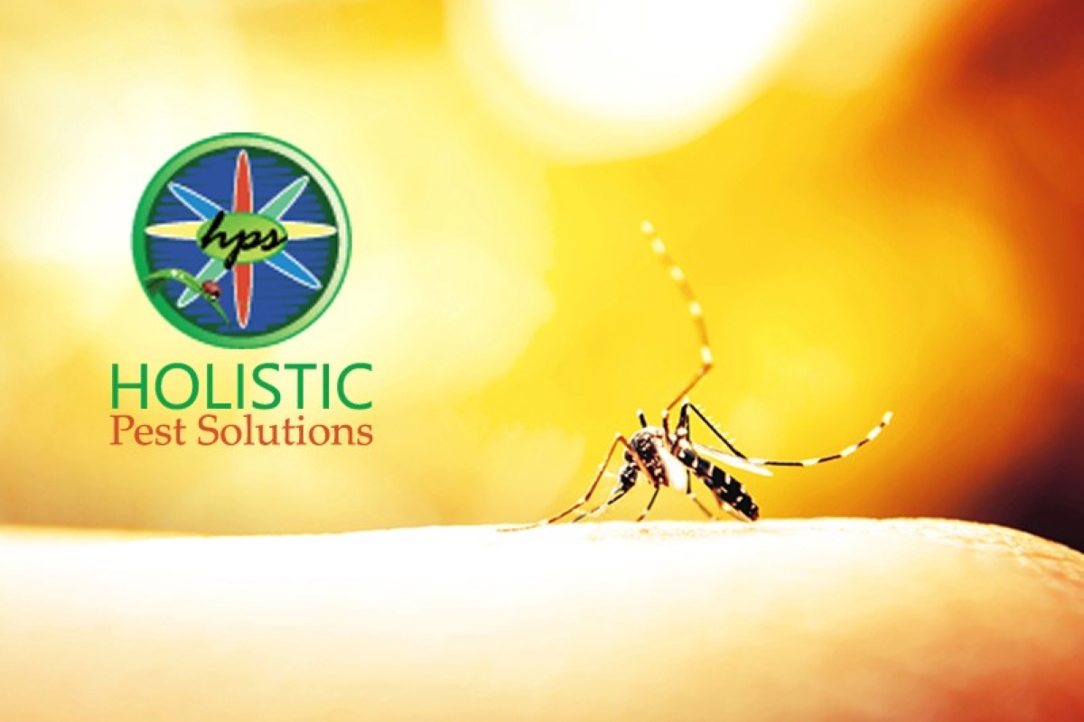 Holistic Pest Solutions logo with a circular emblem and a mosquito on a warm yellow background.