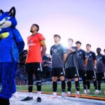 Soccer team lines up on the field with a blue fox mascot at left, before a game at sunset/blue hour.