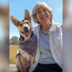 Smiling older woman sits with a happy dog wearing a purple knitted bandana on a sunny day outdoors.