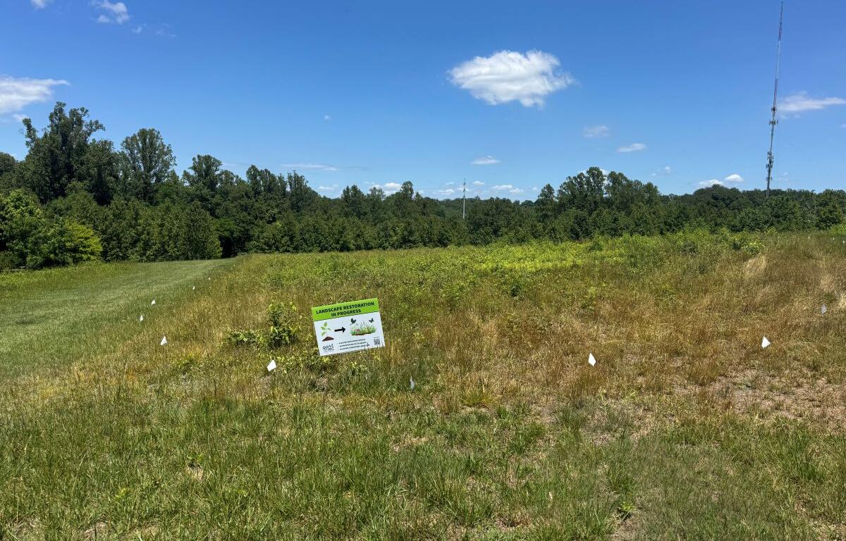 Open grassy field with a small sign reading 'Landscape Restoration in Progress' and trees on the horizon.