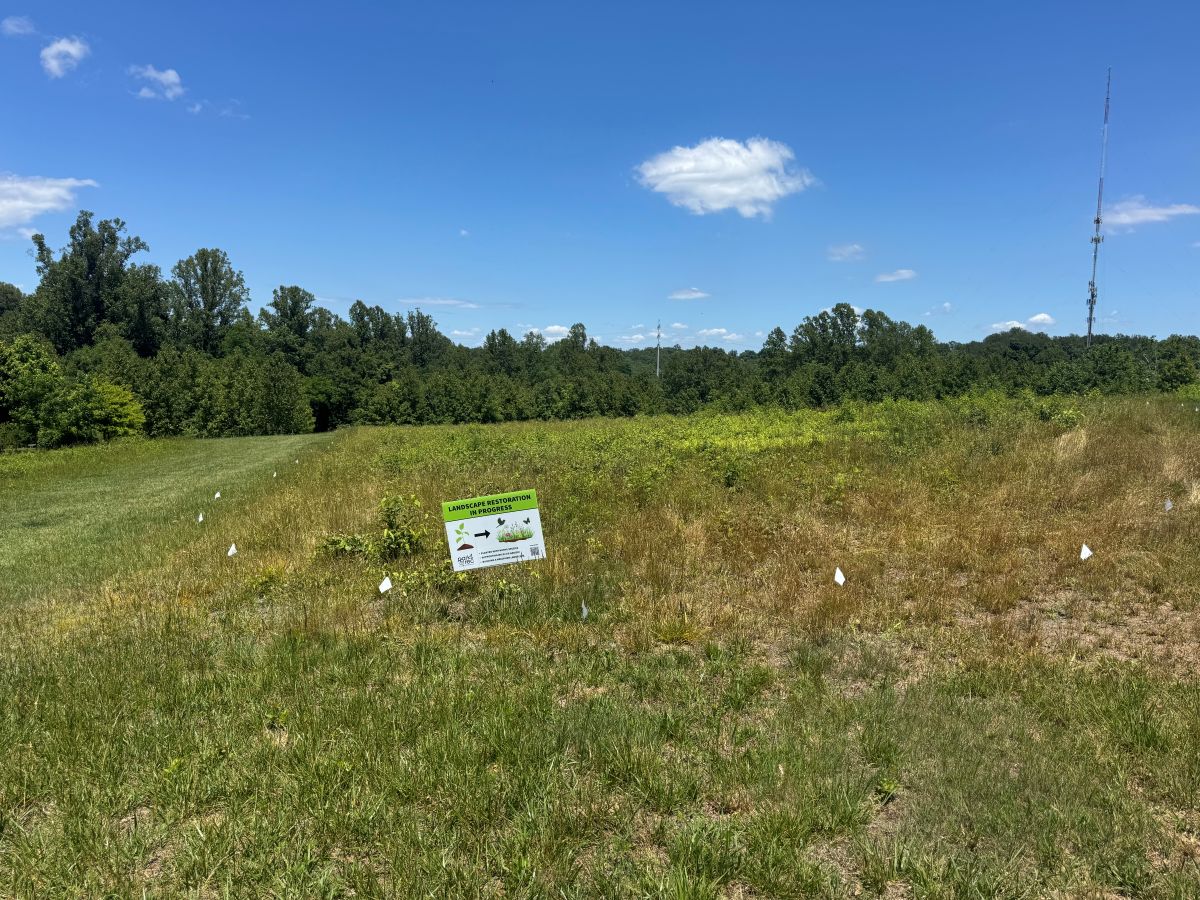 Open grassy field with a small sign reading 'Landscape Restoration in Progress' and trees on the horizon.