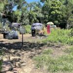 Free Bridge Encampment