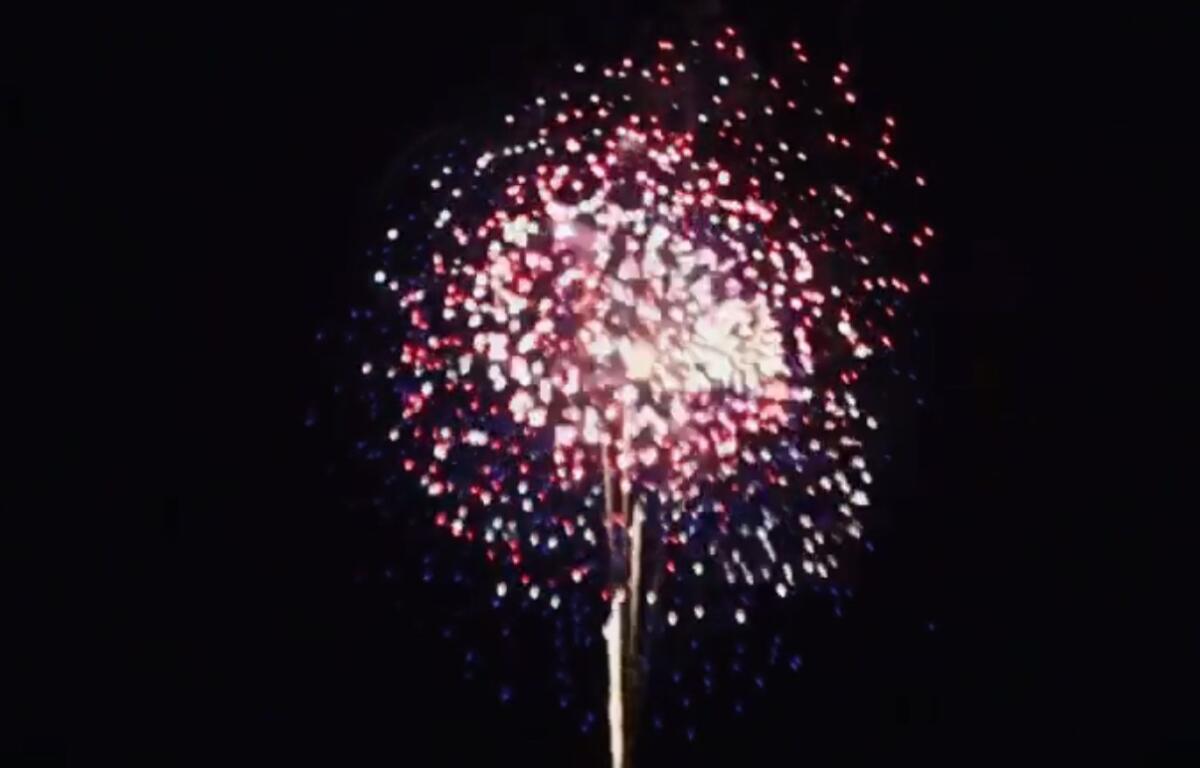 Firework bursting in a dark night sky with red, white, and blue sparks around a bright center.