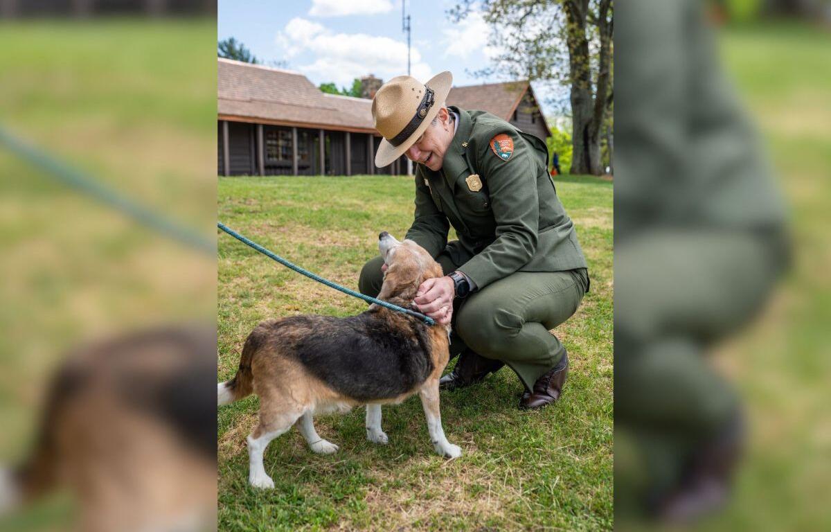 National Park Ranger with dog.