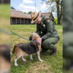 National Park Ranger with dog.