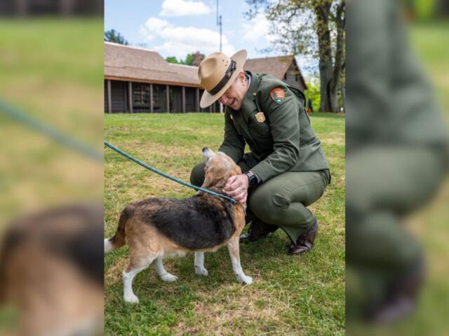 National Park Ranger with dog.