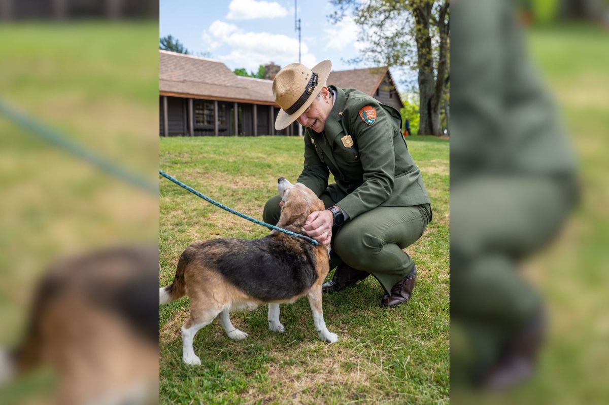 National Park Ranger with dog.
