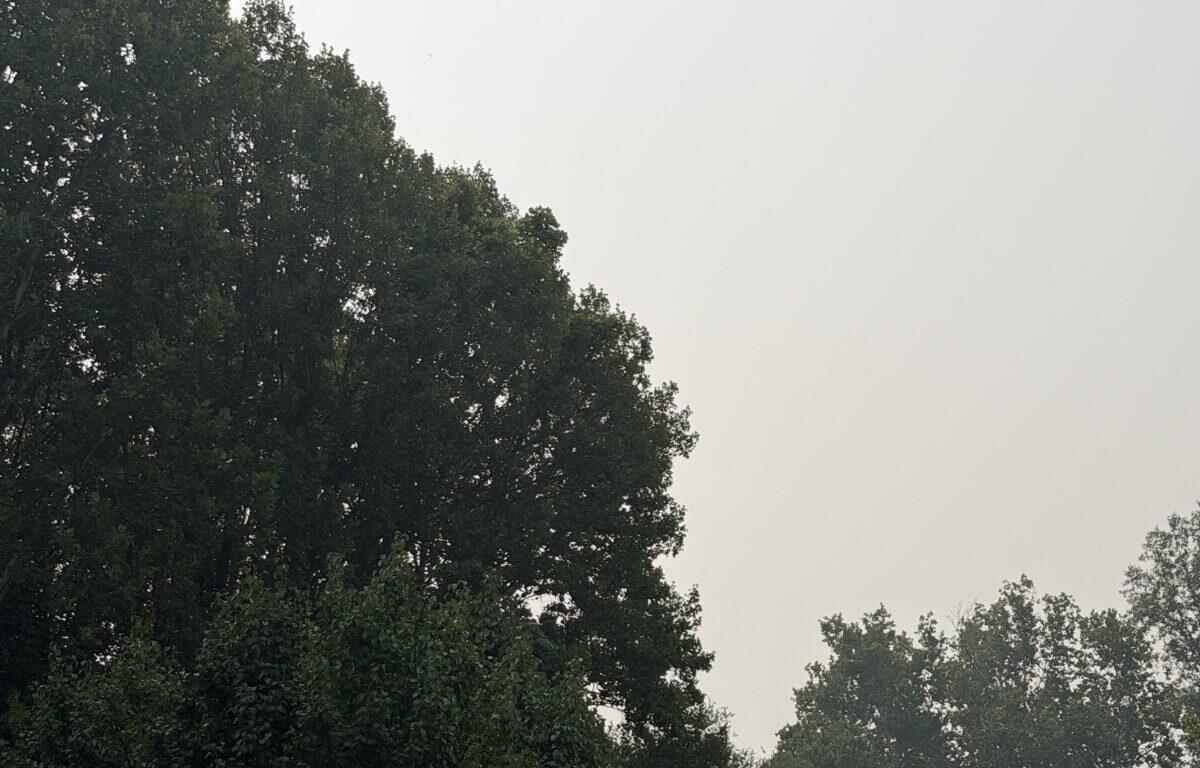 Cville Smoke, 7/17/26