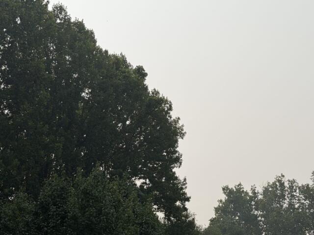 Cville Smoke, 7/17/26