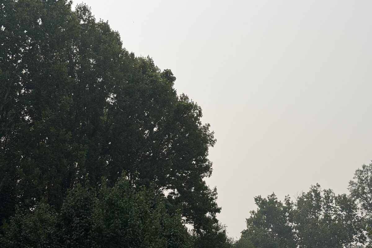 Cville Smoke, 7/17/26