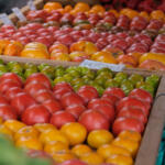 Rows of ripe tomatoes in wooden crates at an outdoor market, with red peppers piled in the back.