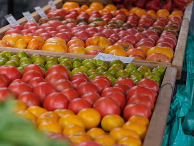 Rows of ripe tomatoes in wooden crates at an outdoor market, with red peppers piled in the back.
