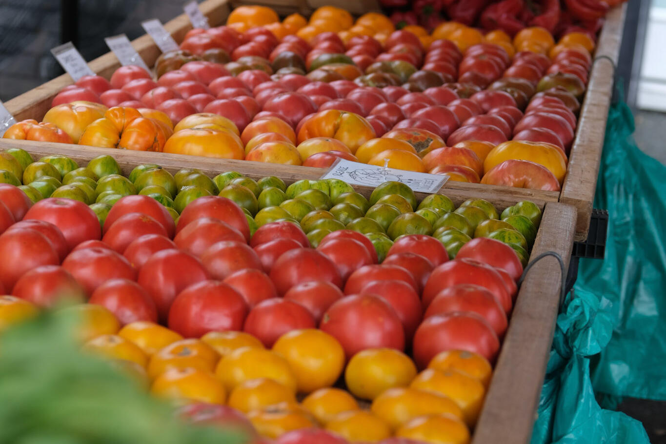 Rows of ripe tomatoes in wooden crates at an outdoor market, with red peppers piled in the back.