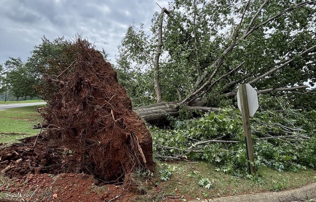 Storm damage at Darden Towe Park in 2026.