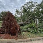 Storm damage at Darden Towe Park in 2026.