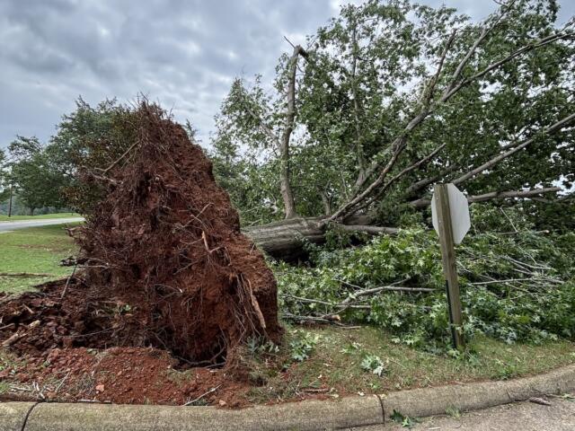 Storm damage at Darden Towe Park in 2026.