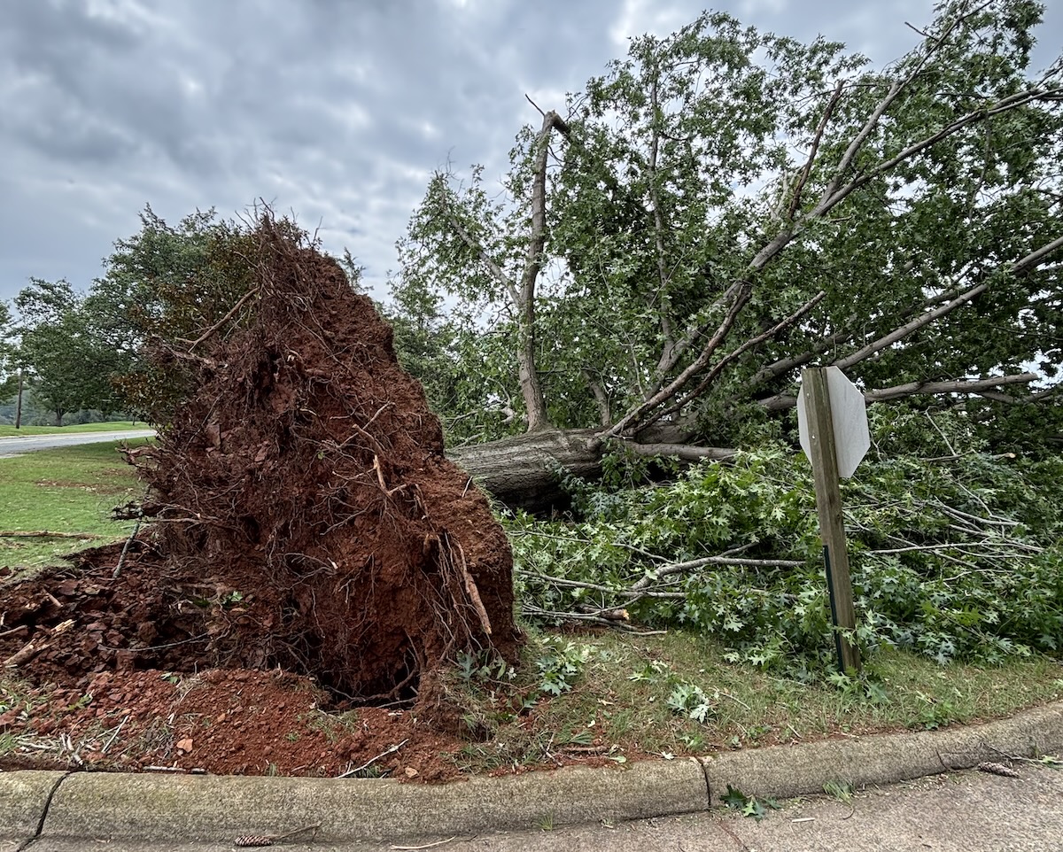 Storm damage at Darden Towe Park in 2026.