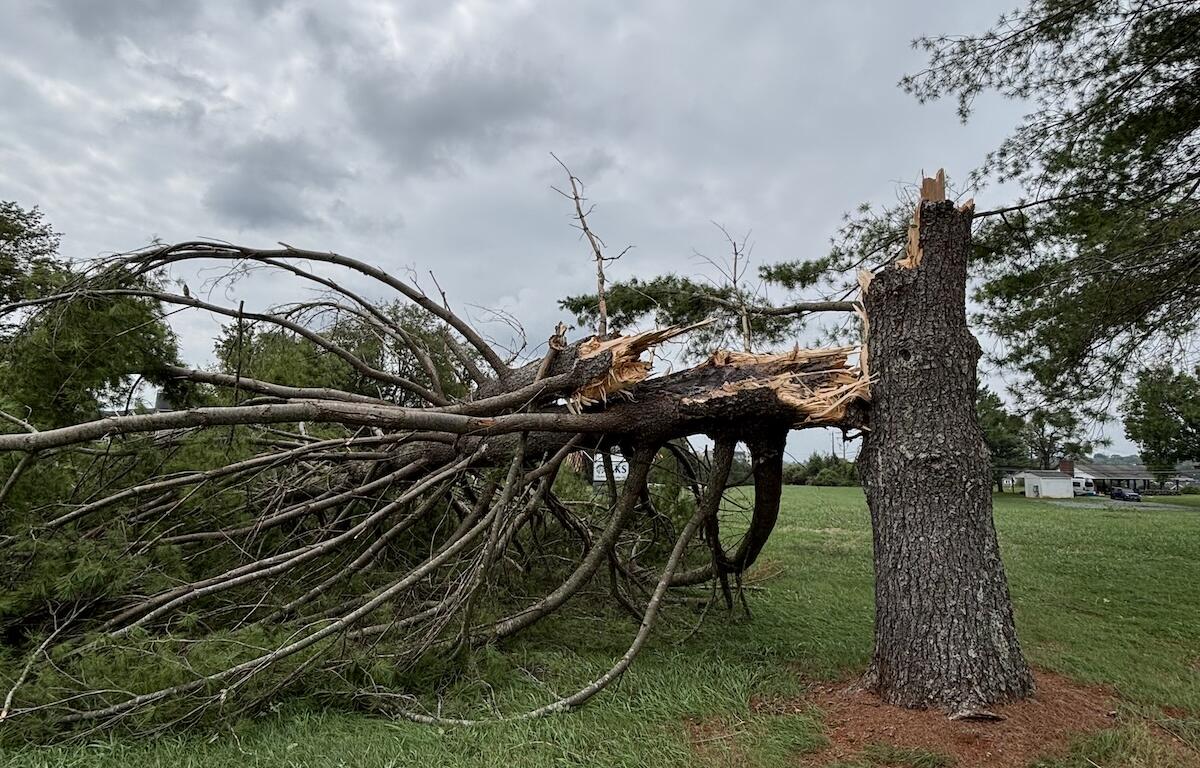 Storm damage at Darden Towe Park in 2026.
