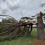 Storm damage at Darden Towe Park in 2026.
