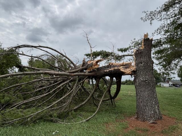 Storm damage at Darden Towe Park in 2026.
