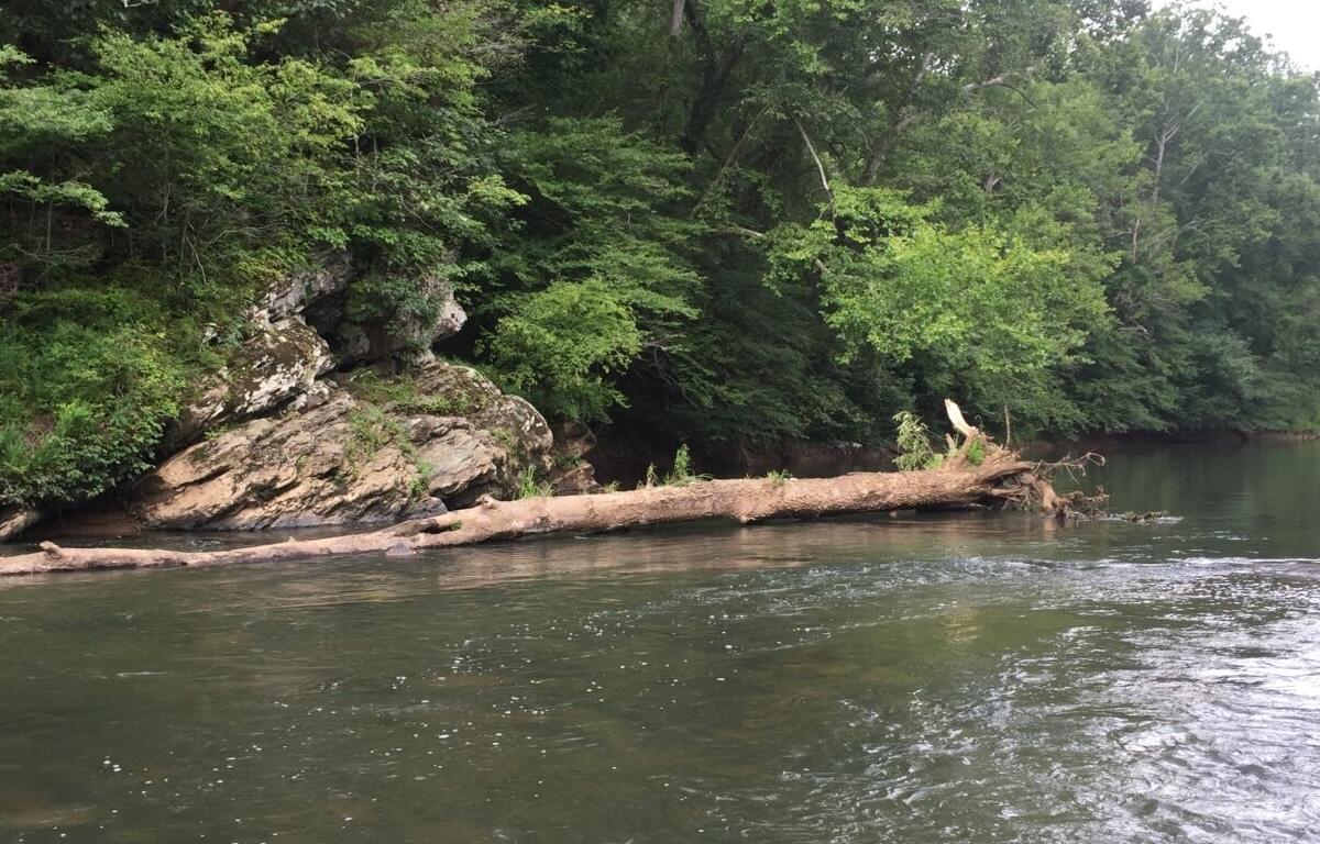 Rivanna River