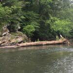 Rivanna River